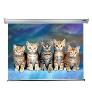 Проекційний екран Sopar 3200RP зображення 1