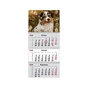 Календар Axent настінний квартальний на 2026 р. (3 пружини) Dogs 1 (8803-26-16-A) - уменьшенное изображение 2