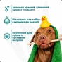 Шампунь для животных Espree Hypoallergenic 2in1 3.79 л (0748406003644) - уменьшенное изображение 4