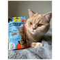 Ласощі для котів GimCat Nutri Pockets Fish Лосось 60 г (4002064419626) - уменьшенное изображение 7