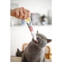 Паста для тварин GimCat DUO PASTE Anti-hairball malt with chicken мальт та курка 50 г (4002064427201) - зменшене зображення 4