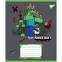 Зошит Yes Minecraft Heroes А5 24 аркушів клітинка (767581) - зменшене зображення 5