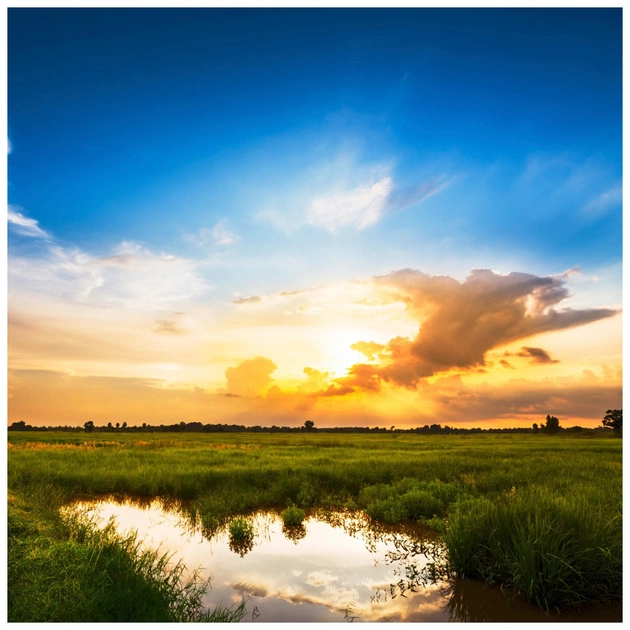 Цифрова відеокамера Panasonic HC-X2 (HC-X2EE) - picture 6