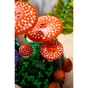 Конструктор LEGO Botanicals Лесные грибы (11505) - уменьшенное изображение 12