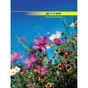 Канцелярская книга А4, 96с, NATURE Buromax (BM.2400) - уменьшенное изображение 1