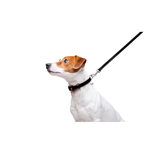 Повідець для собак WAUDOG Glamour шкіряний XS чорний (33721) - зображення 5