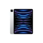 Планшет Apple iPad Pro 12,9" M2 Wi‑Fi + LTE 2TB Silver (MP273RK/A) - зменшене зображення 1