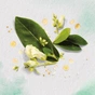 Кондиціонер для волосся Herbal Essences Олія моринги 275 мл (8001841436807) - зменшене зображення 2