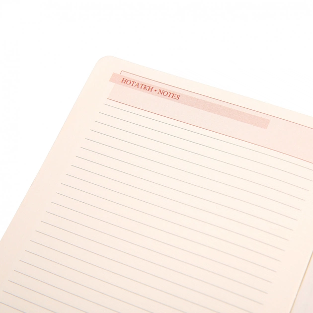 Еженедельник Leo planner датированный 2025 Identico 12x20 см синий (252512) - изображение 9