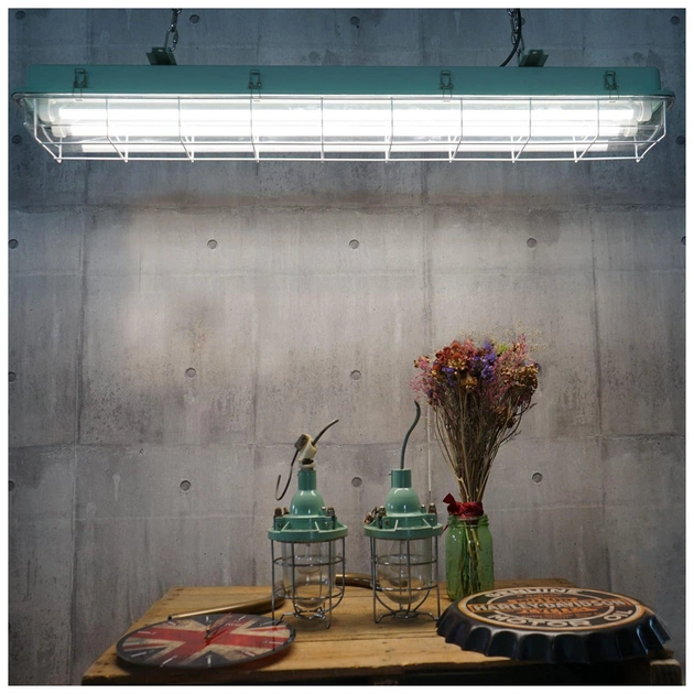 Лампочка EVROLIGHT L-1500 6400K 24Вт G13 T8 - picture 4