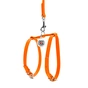 Шлея для собак WAUDOG Glamour з повідцем шкіряна Ш 9 мм А 20-30 см В 30-40 см помаранчева (33994) - зменшене зображення 2
