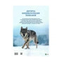 Книга Дитяча енциклопедія хижаків - Алекс Вульф, Клер Філіп Vivat (9789669828514) - зменшене зображення 2