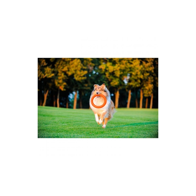 Іграшка для собак Collar PitchDog Кільце для апортування 20 см помаранчеве (62374) - picture 3