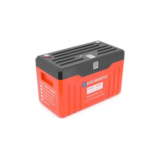 Батарея LiFePo4 Dyness 25,6V 100Ah (100/100A) (Eco-Worthy-251004) - зображення 1