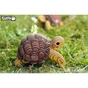 Пазл Eugy 3D Зоопарк Черепаха (XEG-104) - preview 7