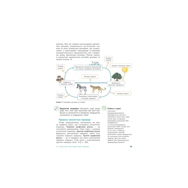 Підручник НУШ Біологія. 7 клас - О.В. Тагліна, А.М. Самойлов, О.М. Утєвська, Л.В. Довгаль Ранок (9786170987686) - зображення 6