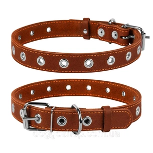 Нашийник для тварин Collar безрозмірний 35 мм 69 см (коричневий) (02956) зображення 1