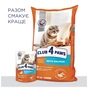 Сухий корм для кішок Club 4 Paws Преміум. З лососем 300 г (4820083909221) - зменшене зображення 8