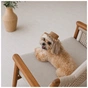 Кепка для тварин Pet Fashion Print S (4823082446100) - зменшене зображення 6