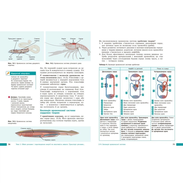Підручник НУШ Біологія. 8 клас - О.В. Тагліна, А.М. Самойлов, О.М. Утєвська, Л.В. Довгаль Ранок (9786170995896) - зображення 6