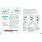 Підручник НУШ Біологія. 8 клас - О.В. Тагліна, А.М. Самойлов, О.М. Утєвська, Л.В. Довгаль Ранок (9786170995896) - зменшене зображення 6