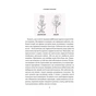 Книга 8 правил кохання. Як знайти, зберегти і відпустити почуття - Джей Шетті Vivat (9786171706309) - уменьшенное изображение 5