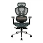 Крісло ігрове GT Racer X-7002 Black/Black/Green (X-7002 Black/Black/Green (Massage)) - зменшене зображення 1