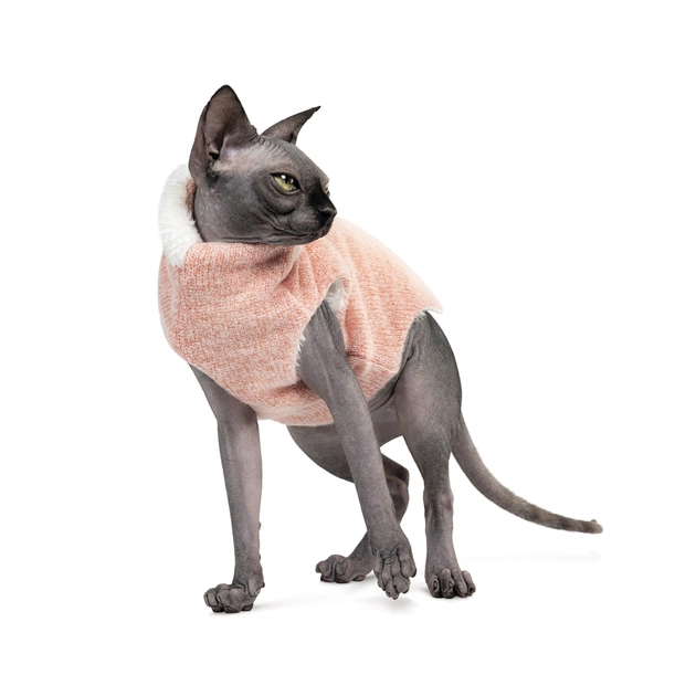 Светр для тварин Pet Fashion CAT XS персик (4823082429660) - зображення 1