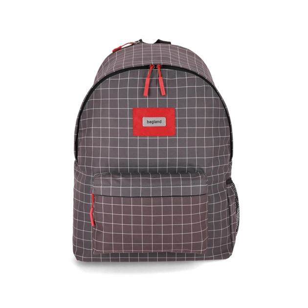 Рюкзак для ноутбука Bagland 17" Stylish XL 35L+print, gray 1339/00558694 (1120220801) - зображення 1