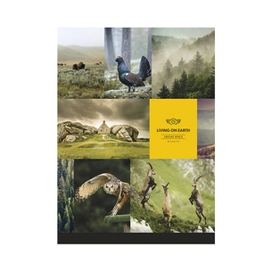 Зошит Школярик А4 Student лінія 80 аркушів (A4-080-5684L) зображення 1