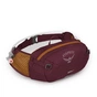 Сумка-бананка Osprey Seral 4 aprium purple O/S (009.3422) - зменшене зображення 1