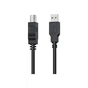 Кабель для принтера USB 2.0 AM/BM 3.0m HP (HP_DHC-PT100-3M) - зменшене зображення 2