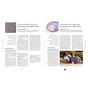Книга Практична психологія. Вагітність день за днем - Меґґі Блотт Ранок (9786170991058) - preview 10