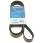 Поликлиновый ремень DAYCO 6PK1900 - уменьшенное изображение 1