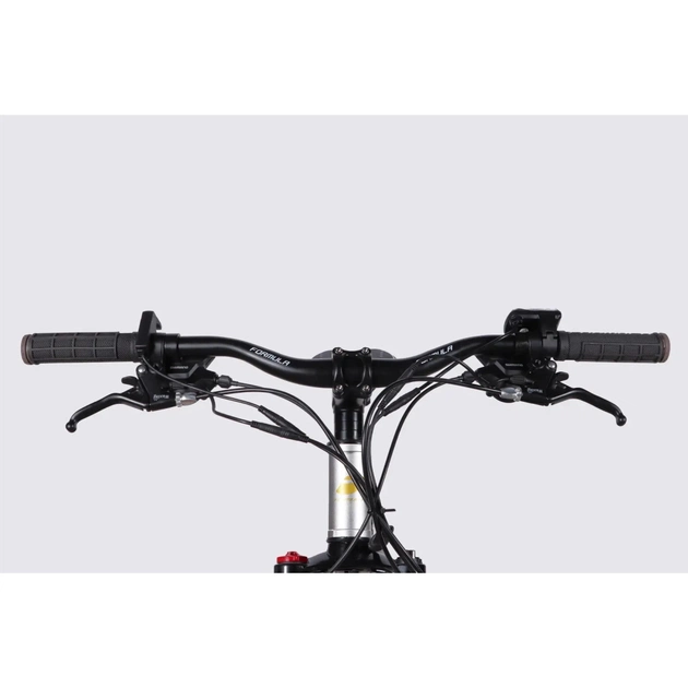 Електровелосипед Formula 29" eF-1 DD CS рама-18,5" 48B 17.5А*г 500Вт 2026 сріблясто-чорний (ELB-FR-29-252) - picture 6