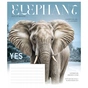 Зошит Школярик Fauna magazine 18 аркушів лінія (018-3428L) - зменшене зображення 3