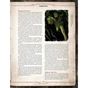 Настільна гра Geekach Games Поклик Ктулху. Набір Вартового (Call of Cthulhu Keeper Screen Pack) (укр.) (GKRP0021) - зменшене зображення 5
