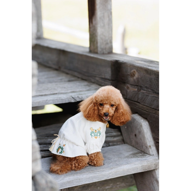 Футболка для тварин Pet Fashion Maryana XS2 (4823082439287) - picture 8