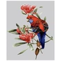 Картина по номерам Strateg Папуга у квітах 40х50 см (SY6035) - зменшене зображення 1