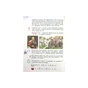 Підручник Мистецтво. Інтегрований курс для 4 класу ЗЗСО - Т.Є. Рубля, Т.Л. Щеглова, І.Л. Мед Ранок (9786170969095) - зменшене зображення 5