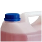 Жидкое мыло Luma Клубника 5 л (LS-52) - уменьшенное изображение 3