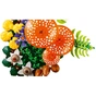 Конструктор LEGO Botanicals Лесные грибы (11505) - уменьшенное изображение 5