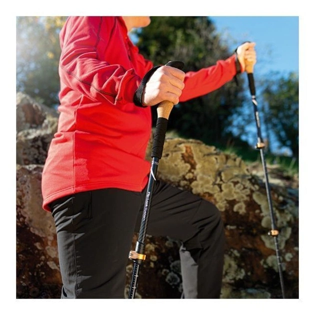 Трекінгові палиці Schwarzwolf Denali чорний (F4800400AJ3) - picture 5