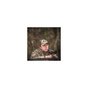 Підзорна труба Vanguard Vesta 460A 15-50x60/45 WP + штатив (DAS301023) - уменьшенное изображение 16
