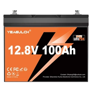 Батарея LiFePo4 YEAGULCH 12.8V 100Ah Mini (YEAGULCH-12,8V/100Ah Mini) зображення 1