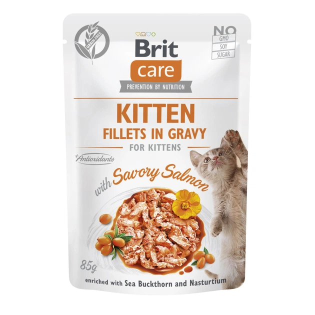 Влажный корм для кошек Brit Care Cat Fillets in Gravy with Savory Salmon филе в соусе с лососем 85 г (8595602565313) - изображение 1