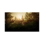 Гра Sony The Last Of Us Part I [PS5, Ukrainian version] (9406792) - зменшене зображення 10
