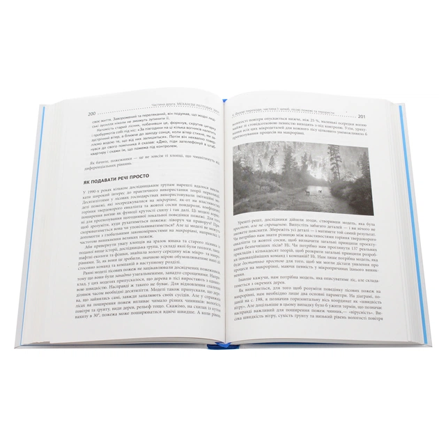 Книга Шалені задуми - Сафі Бакал Фабула (9786170961563) - picture 5