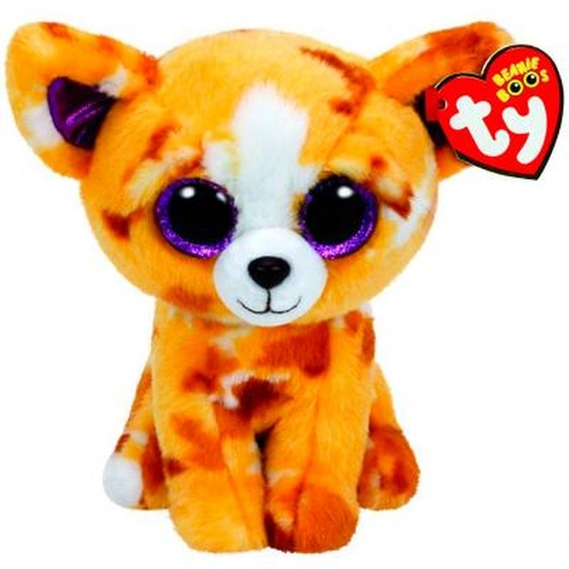 М'яка іграшка Ty Beanie Boo's Чихуахуа Pablo 25 см (37066) - зображення 1