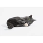 Игрушка для кошек Cheerble Wicked Ball M3 (Apricot Beige) (CWQ02A) - уменьшенное изображение 7